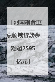 河南粮食重点领域贷款余额超2595亿元