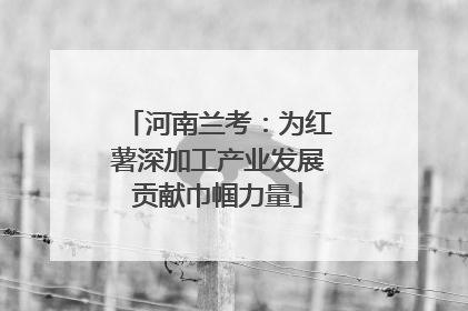 河南兰考：为红薯深加工产业发展贡献巾帼力量