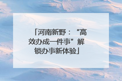 河南新野：“高效办成一件事”解锁办事新体验