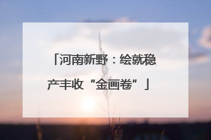 河南新野：绘就稳产丰收“金画卷”