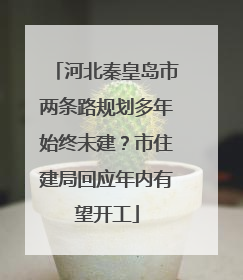 河北秦皇岛市两条路规划多年始终未建？市住建局回应年内有望开工