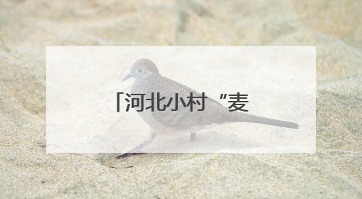 河北小村“麦客”经济铺就农民致富路