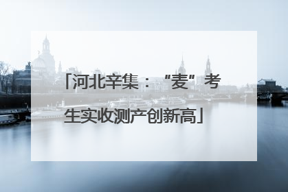 河北辛集：“麦”考生实收测产创新高