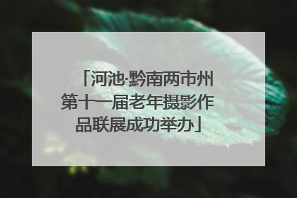 河池·黔南两市州第十一届老年摄影作品联展成功举办