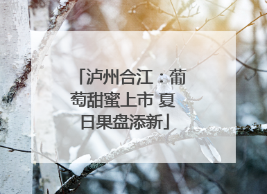 泸州合江：葡萄甜蜜上市 夏日果盘添新