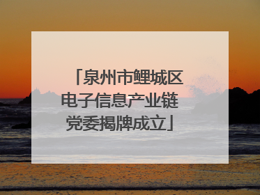 泉州市鲤城区电子信息产业链党委揭牌成立
