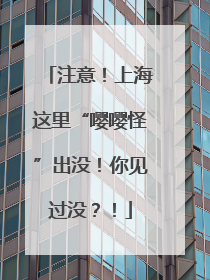注意！上海这里“嘤嘤怪”出没！你见过没？！