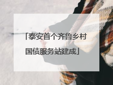 泰安首个齐鲁乡村国债服务站建成