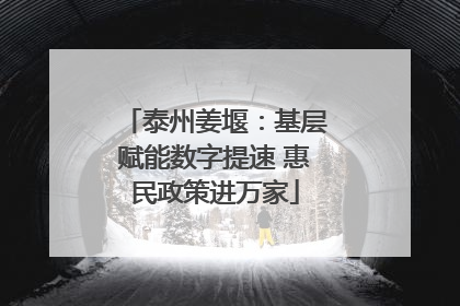 泰州姜堰：基层赋能数字提速 惠民政策进万家