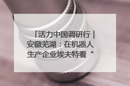 活力中国调研行｜安徽芜湖：在机器人生产企业埃夫特看“中国智造”