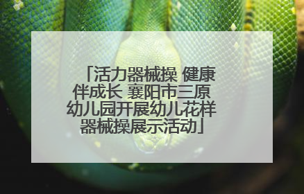 活力器械操 健康伴成长 襄阳市三原幼儿园开展幼儿花样器械操展示活动