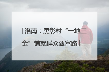 洛南：黑彰村“一地三金”铺就群众致富路