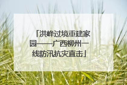 洪峰过境重建家园——广西柳州一线防汛抗灾直击