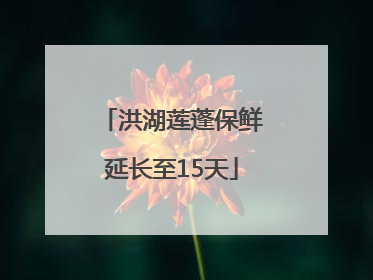洪湖莲蓬保鲜延长至15天