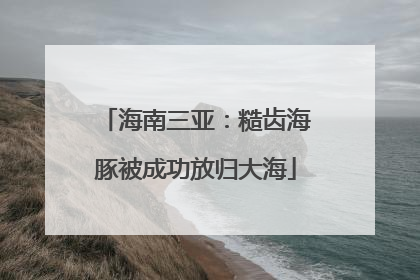 海南三亚：糙齿海豚被成功放归大海