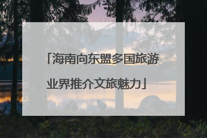 海南向东盟多国旅游业界推介文旅魅力