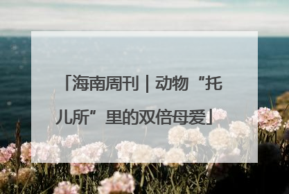 海南周刊｜动物“托儿所”里的双倍母爱