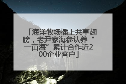 海洋牧场插上共享翅膀，老尹家海参认养“一亩海”累计合作近200企业客户