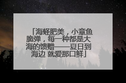 海蛏肥美，小章鱼脆弹，每一种都是大海的馈赠——夏日到海边 就爱那口鲜