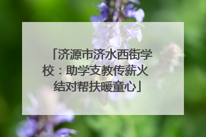济源市济水西街学校：助学支教传薪火 结对帮扶暖童心