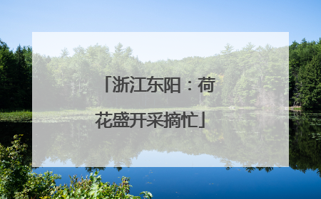 浙江东阳：荷花盛开采摘忙