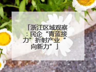 浙江区域观察：民企“青蓝接力”折射产业“向新力”