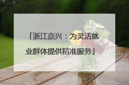 浙江嘉兴：为灵活就业群体提供精准服务