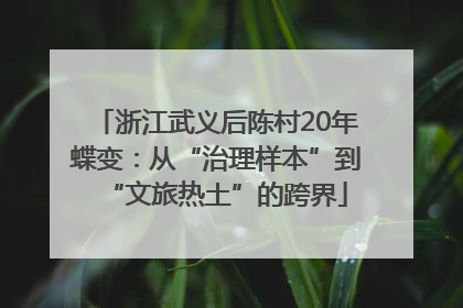 浙江武义后陈村20年蝶变：从“治理样本”到“文旅热土”的跨界