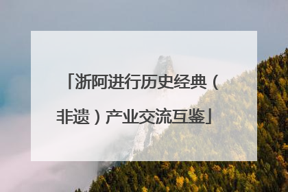 浙阿进行历史经典（非遗）产业交流互鉴