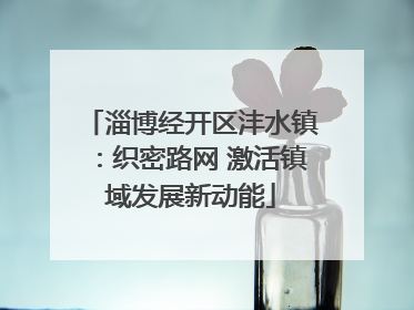 淄博经开区沣水镇：织密路网 激活镇域发展新动能