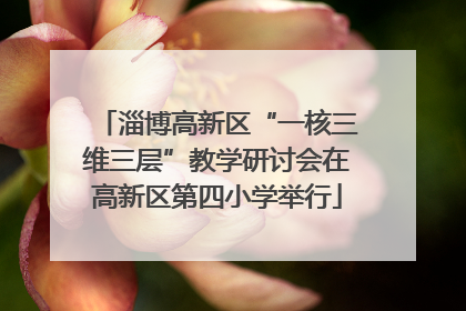 淄博高新区“一核三维三层”教学研讨会在高新区第四小学举行