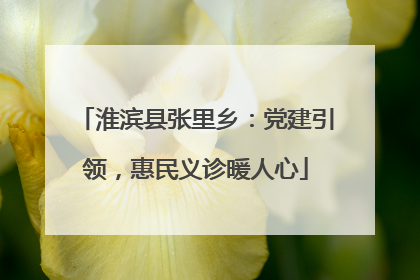 淮滨县张里乡：党建引领，惠民义诊暖人心