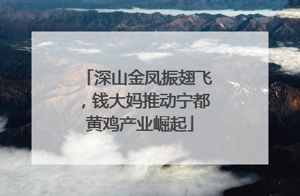 深山金凤振翅飞，钱大妈推动宁都黄鸡产业崛起
