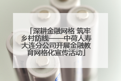 深耕金融网格 筑牢乡村防线——中荷人寿大连分公司开展金融教育网格化宣传活动