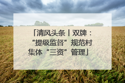 清风头条丨双牌：“提级监督”规范村集体“三资”管理