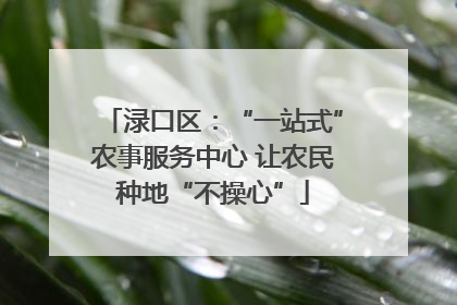 渌口区：“一站式”农事服务中心 让农民种地“不操心”