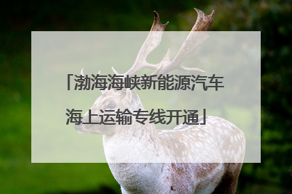 渤海海峡新能源汽车海上运输专线开通