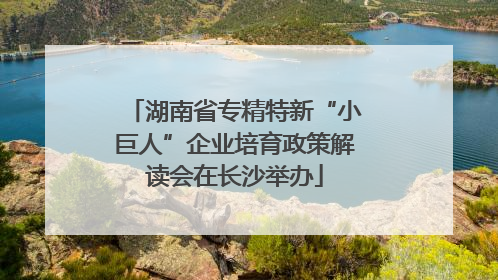 湖南省专精特新“小巨人”企业培育政策解读会在长沙举办