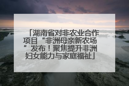 湖南省对非农业合作项目“非洲母亲新农场”发布！聚焦提升非洲妇女能力与家庭福祉