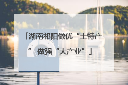 湖南祁阳做优“土特产” 做强“大产业”