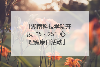 湖南科技学院开展“5・25”心理健康日活动