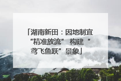 湖南新田：因地制宜“精准放流” 构建“鸢飞鱼跃”景象