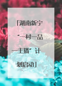湖南新宁“一村一品一主播”计划启动