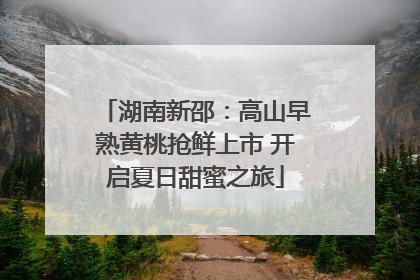湖南新邵：高山早熟黄桃抢鲜上市 开启夏日甜蜜之旅