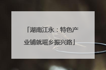 湖南江永：特色产业铺就瑶乡振兴路