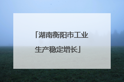 湖南衡阳市工业生产稳定增长