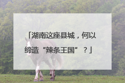 湖南这座县城，何以缔造“辣条王国”？