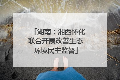 湖南：湘西怀化联合开展改善生态环境民主监督