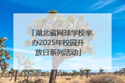 湖北省网球学校举办2025年校园开放日系列活动