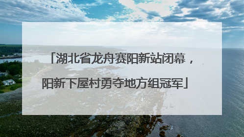 湖北省龙舟赛阳新站闭幕，阳新下屋村勇夺地方组冠军